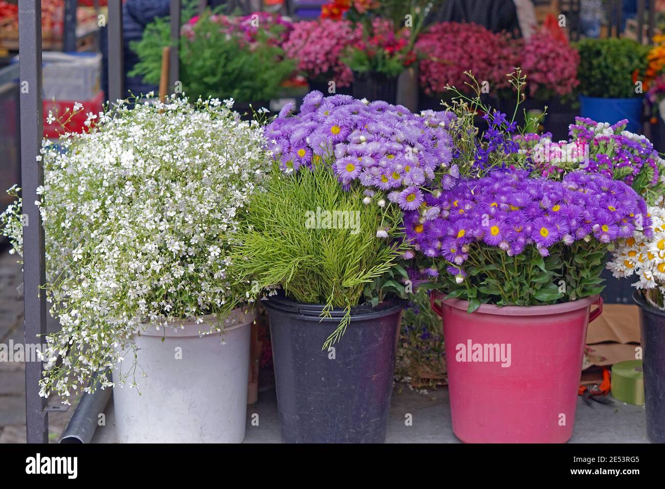 Verschiedene Frühlingsblumen in Eimern im Blumengeschäft Stockfoto