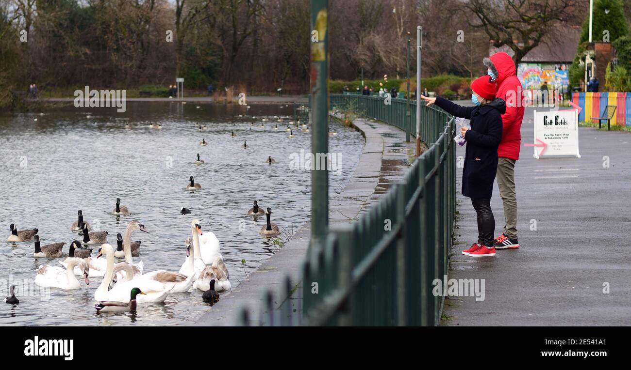 Fütterung der Vögel Stockfoto