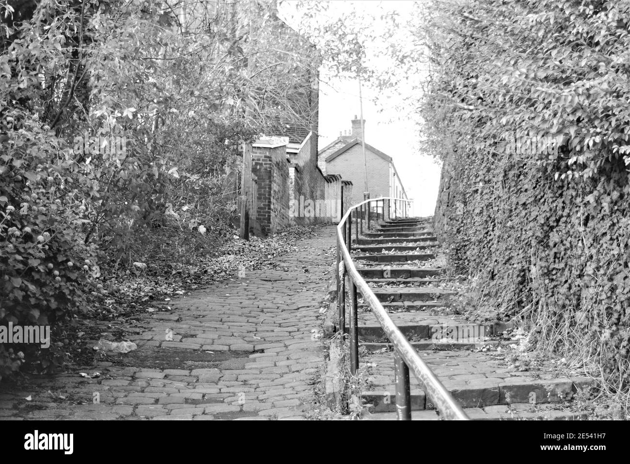 Cobble Lane Stockfoto