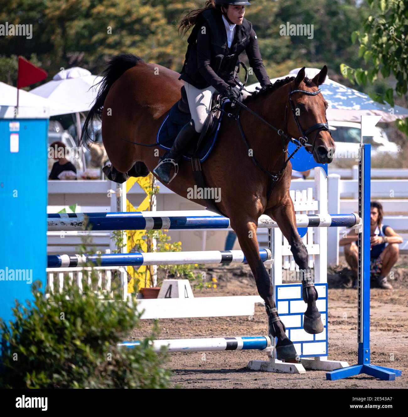 Israel Horse Jumping Championship 2019 Stockfoto