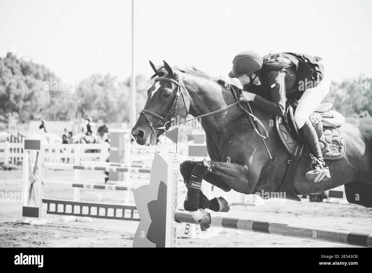 Israel Horse Jumping Championship 2019 Stockfoto