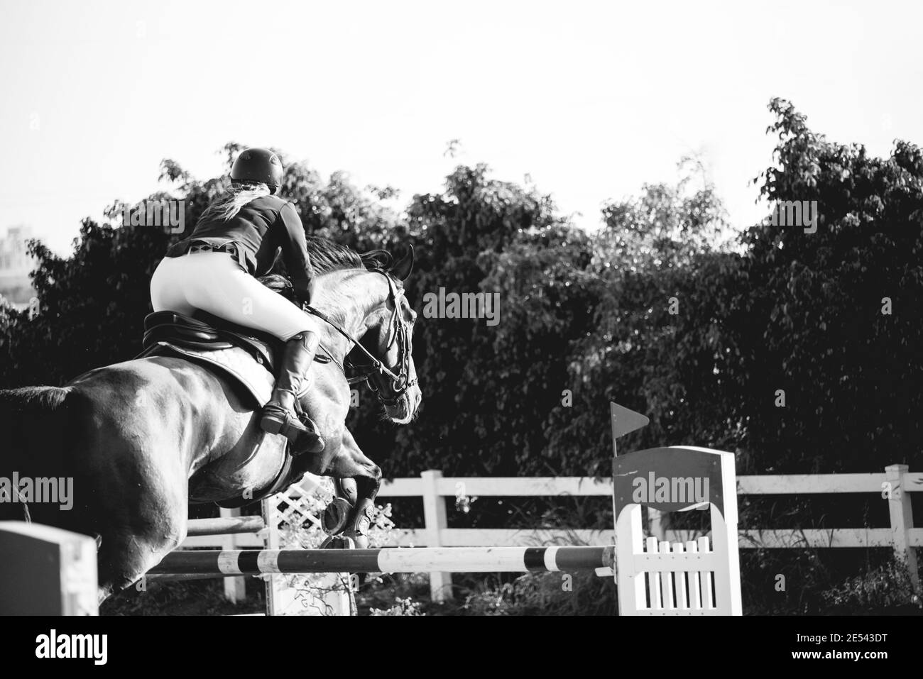 Israel Horse Jumping Championship 2019 Stockfoto