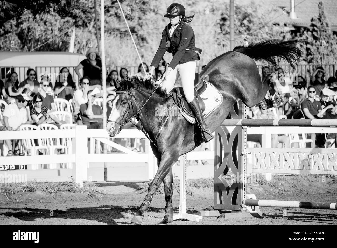 Israel Horse Jumping Championship 2019 Stockfoto