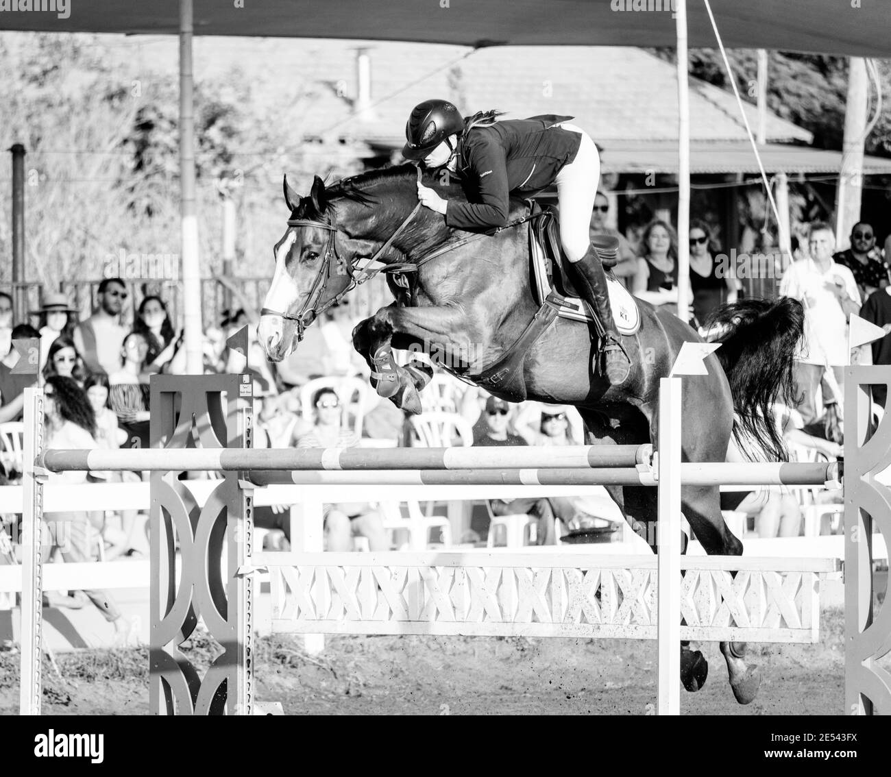 Israel Horse Jumping Championship 2019 Stockfoto