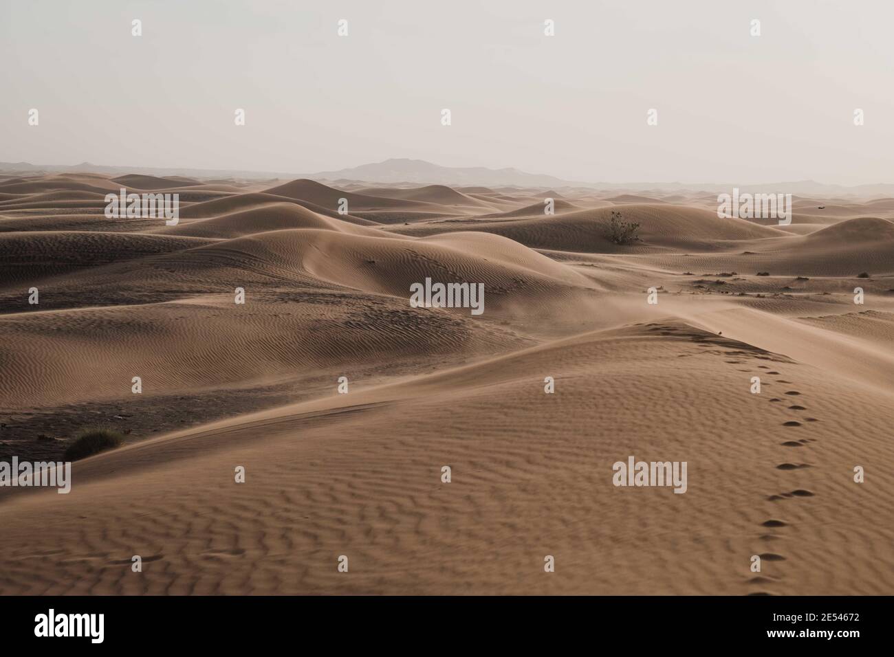 DUBAI, VEREINIGTE ARABISCHE EMIRATE - 01. Januar 2021: „Ich zitterte in diesen Solituden, als ich die Stimme des Salzes in der Wüste hörte.“― Pablo Neruda Stockfoto