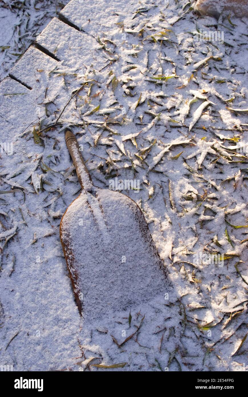 Schaufel unter Blättern im Schnee begraben, Lisson Wide, Regent's Canal, London, NW8, England Stockfoto