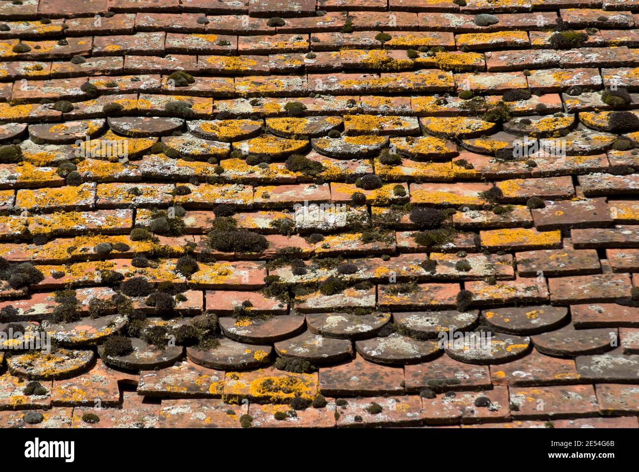 Alte Dachziegel, Castle Farm, in der Nähe von Shoreham, Kent, England Stockfoto