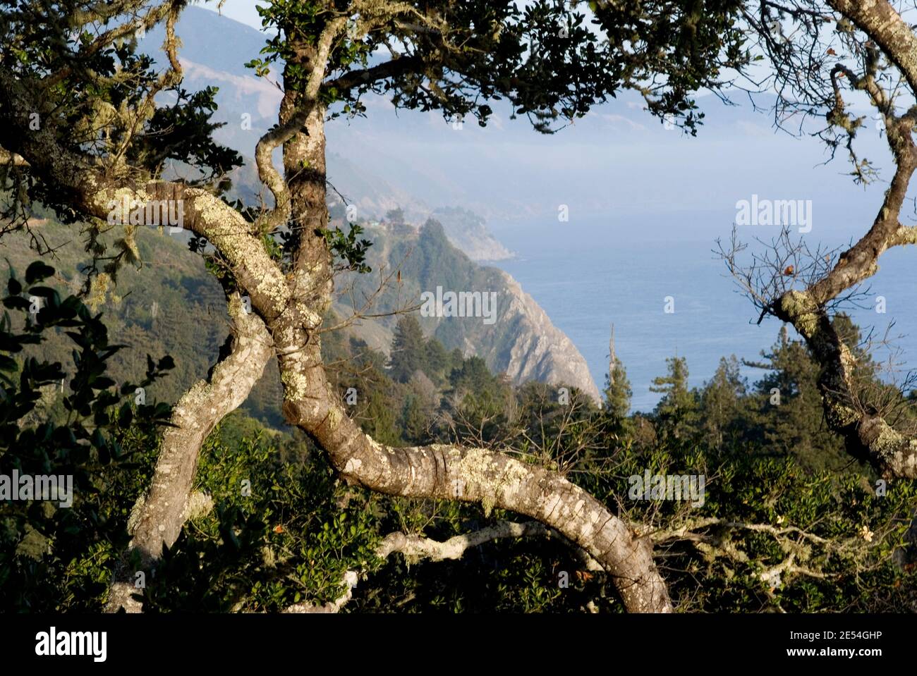 Blick auf Big Sur Küste vom Nepenthe Restaurant, Zentral Kalifornien, USA Stockfoto