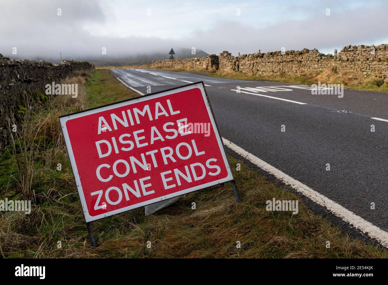 Tierseuchenkontrollbereich Zeichen in Wensleydale, Teil des Vogelgrippe-Ausbruchs Ende 2020, Großbritannien. Stockfoto