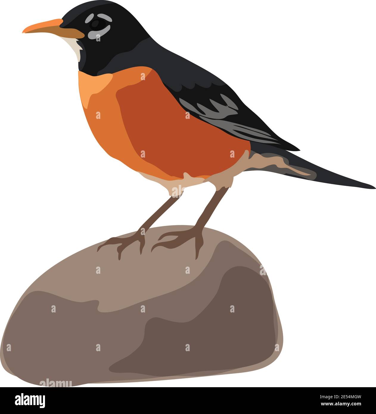 Eine Illustration eines Amerikaners Robin Bird, der auf einem Felsen steht Stock Vektor