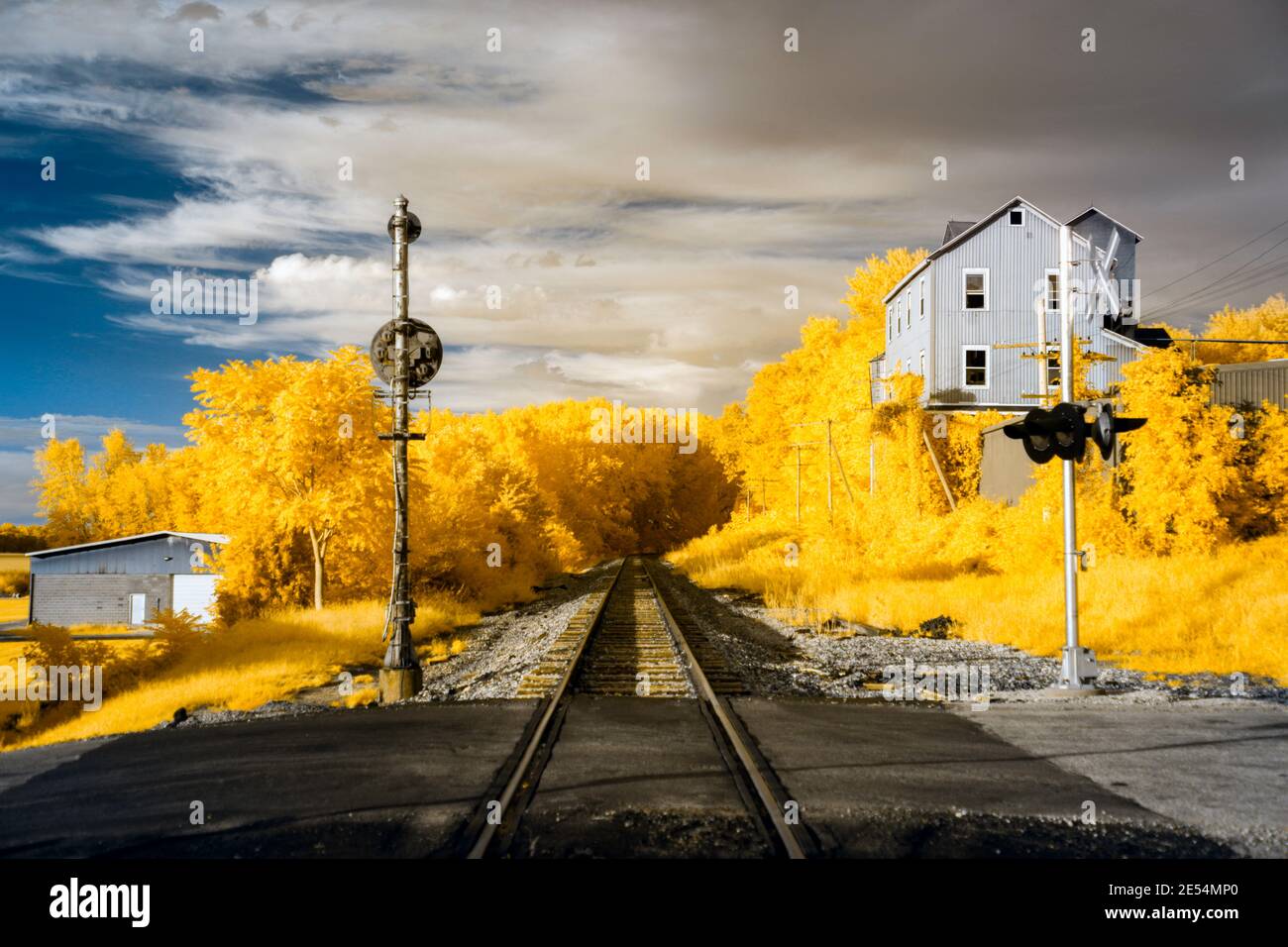 Eine Infrarotszene in falscher Farbe, die entlang der Spuren hinter der Robertson Futtermühle in Ewing, IN, aufgenommen wurde. Die Spuren werden von goldenem Laub flankiert. 590 nm Stockfoto