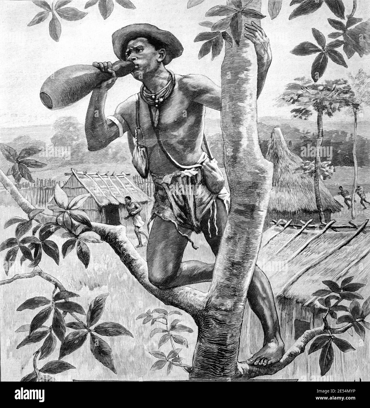 Messanger in Tree Top Calling mit Calabash oder Bottle Gourd Verwendet als natürliches Megaphon in Burkina Faso Westafrika 1904 Vintage Illustration oder Gravur Stockfoto
