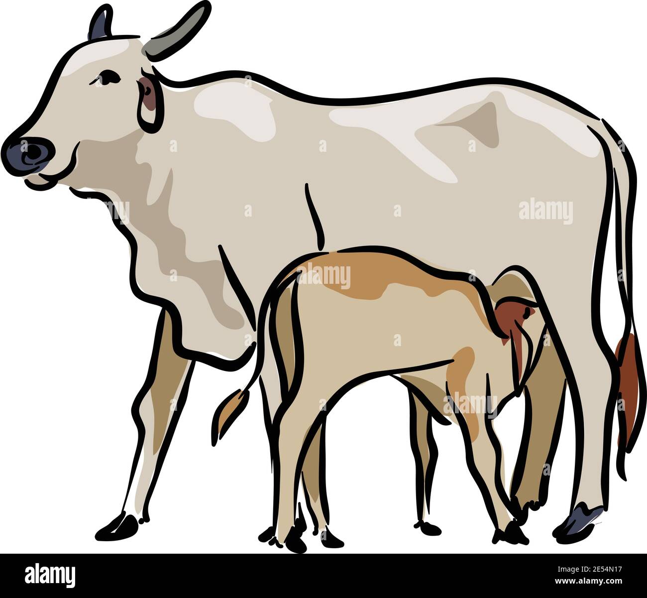 Kuh mit Kalb trinkende Milch von Mutterkuh Illustration Stock Illustrationsvektor Stock Vektor