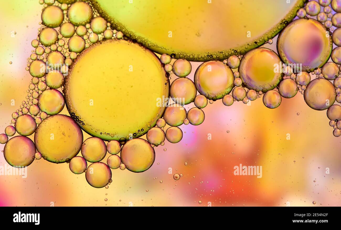 Abstrakte Fotografie von Öl und Seifenblasen mit gelben, blauen, rosa und roten Farben, in einer Glasschale mit Wasser Stockfoto