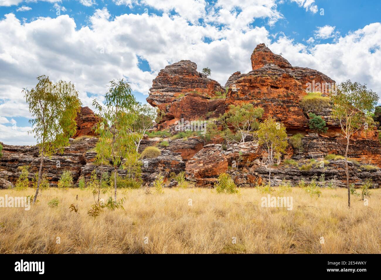 Bungle Bungles, Purnululu National Park, Kimberley Region, Western Australia, Australien Stockfoto