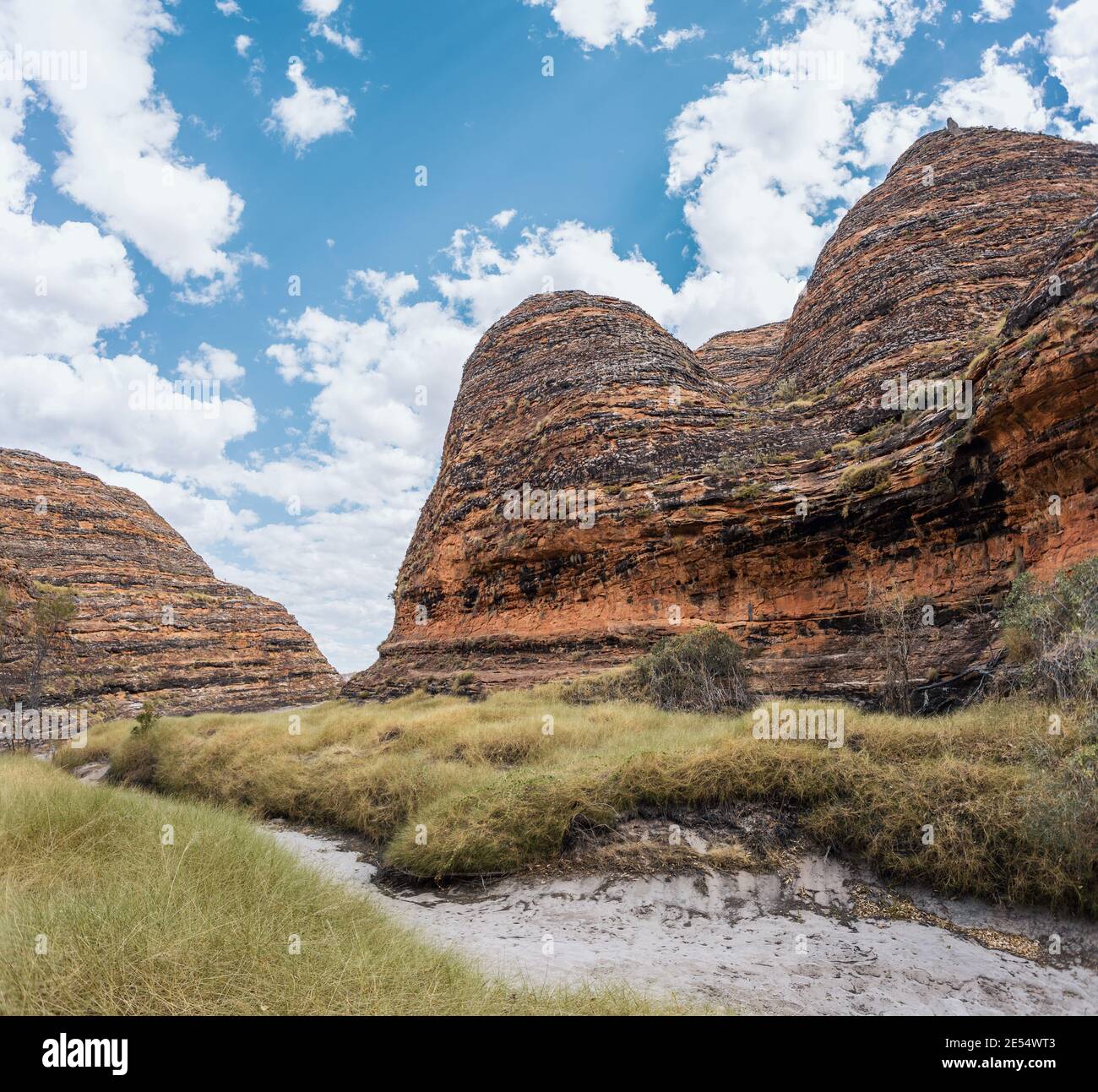 Bungle Bungles, Purnululu National Park, Kimberley Region, Western Australia, Australien Stockfoto
