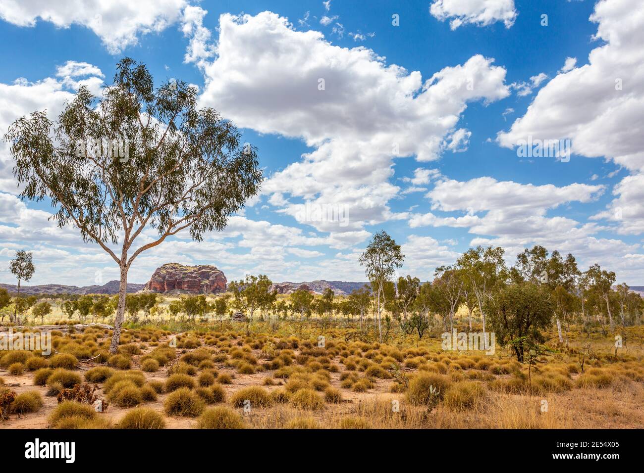 Bungle Bungles, Purnululu National Park, Kimberley Region, Western Australia, Australien Stockfoto