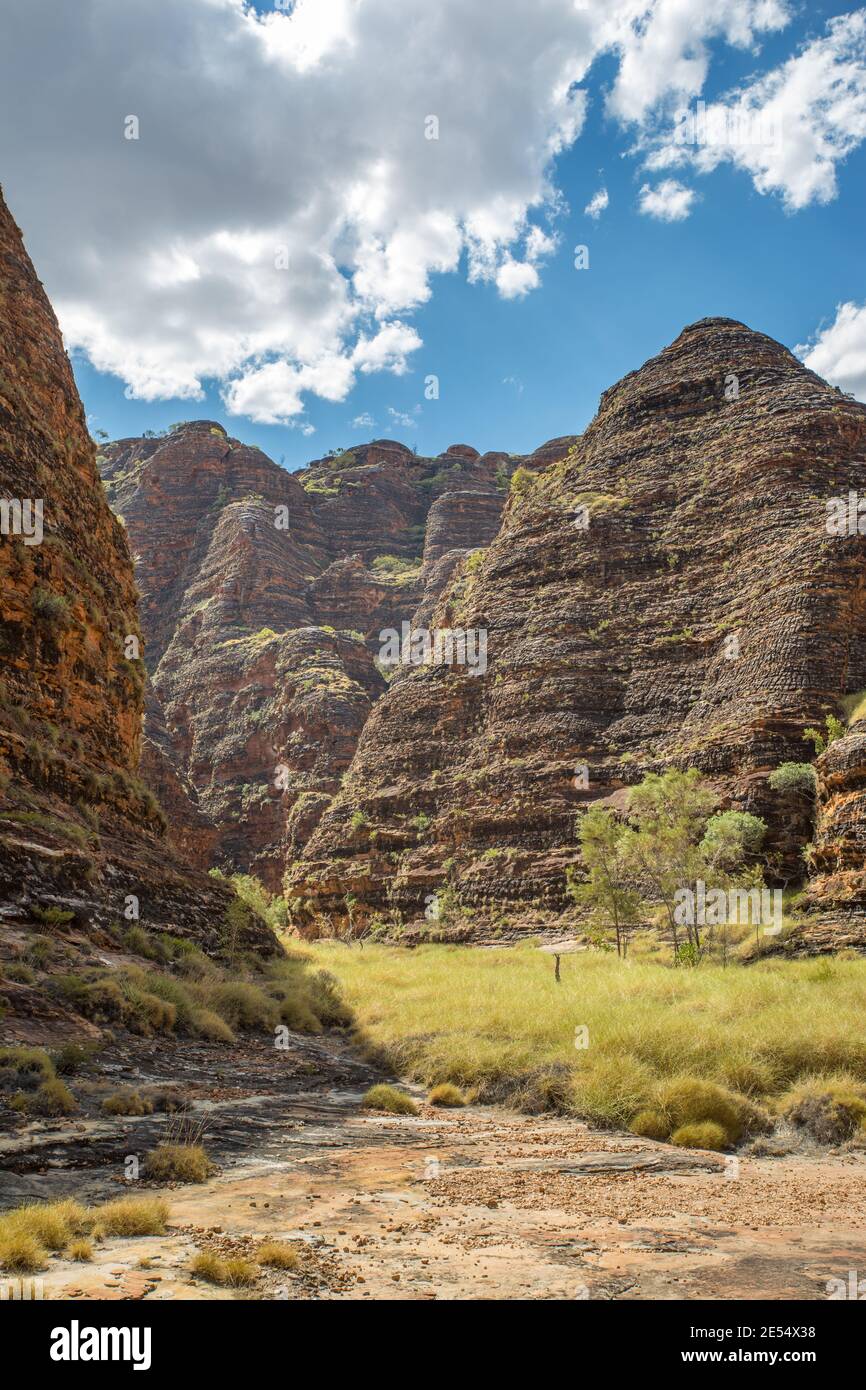 Bungle Bungles, Purnululu National Park, Kimberley Region, Western Australia, Australien Stockfoto