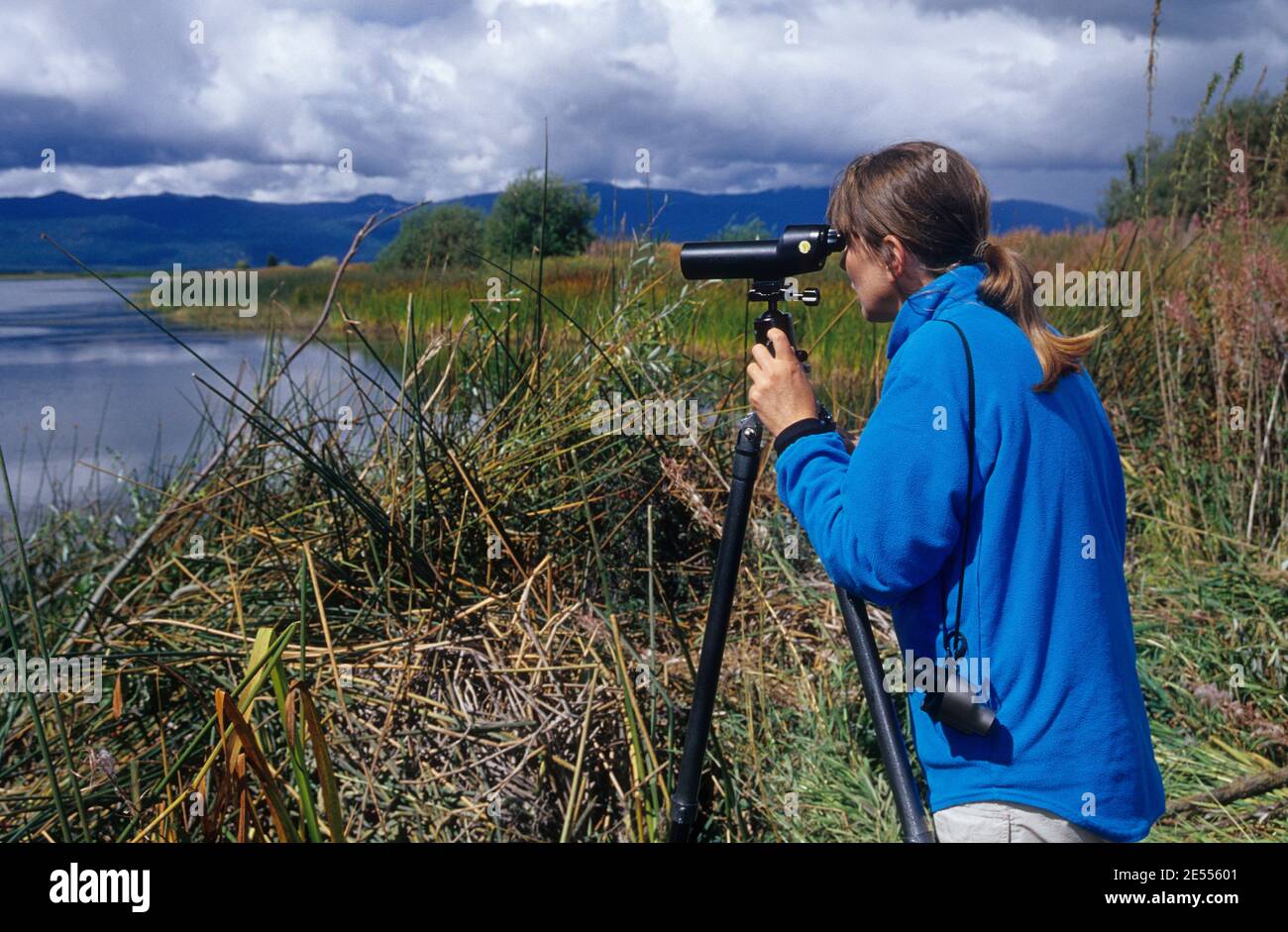 Birding, Wood River Wetland, Klamath Falls District Büro des Land-Managements, Oregon Stockfoto