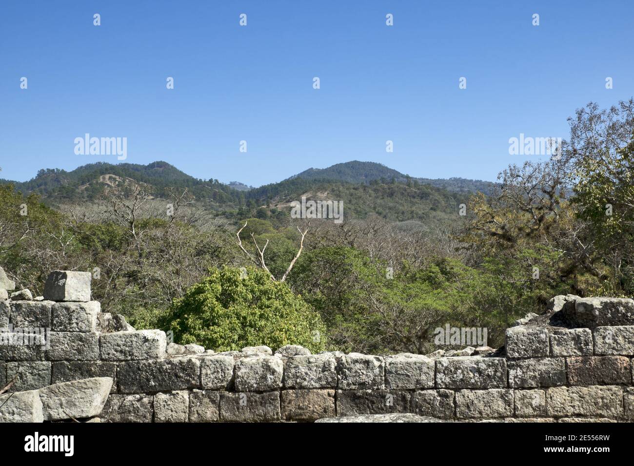 Copan, Honduras, Mittelamerika: Antike Stätten (Tempel, Pyramide) in Copan. Copan ist eine archäologische Stätte der Maya-Zivilisation in der Nähe von Guatemala Stockfoto