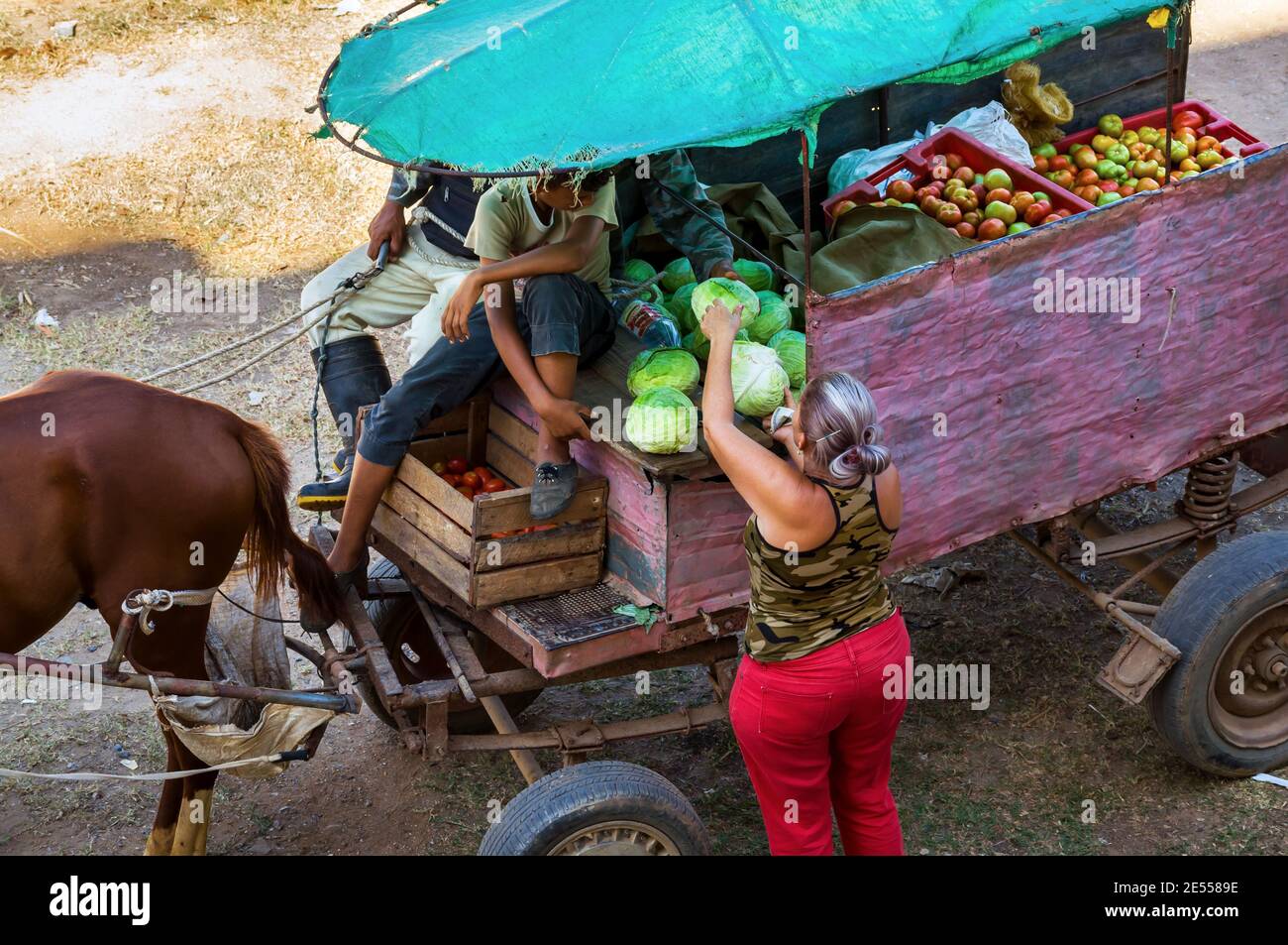 Lateinische Menschen aus einem weniger entwickelten Land während des Prozesses Des Handels Gemüse, das in einem Wagen verkauft werden Von einem Pferd gezogen Stockfoto