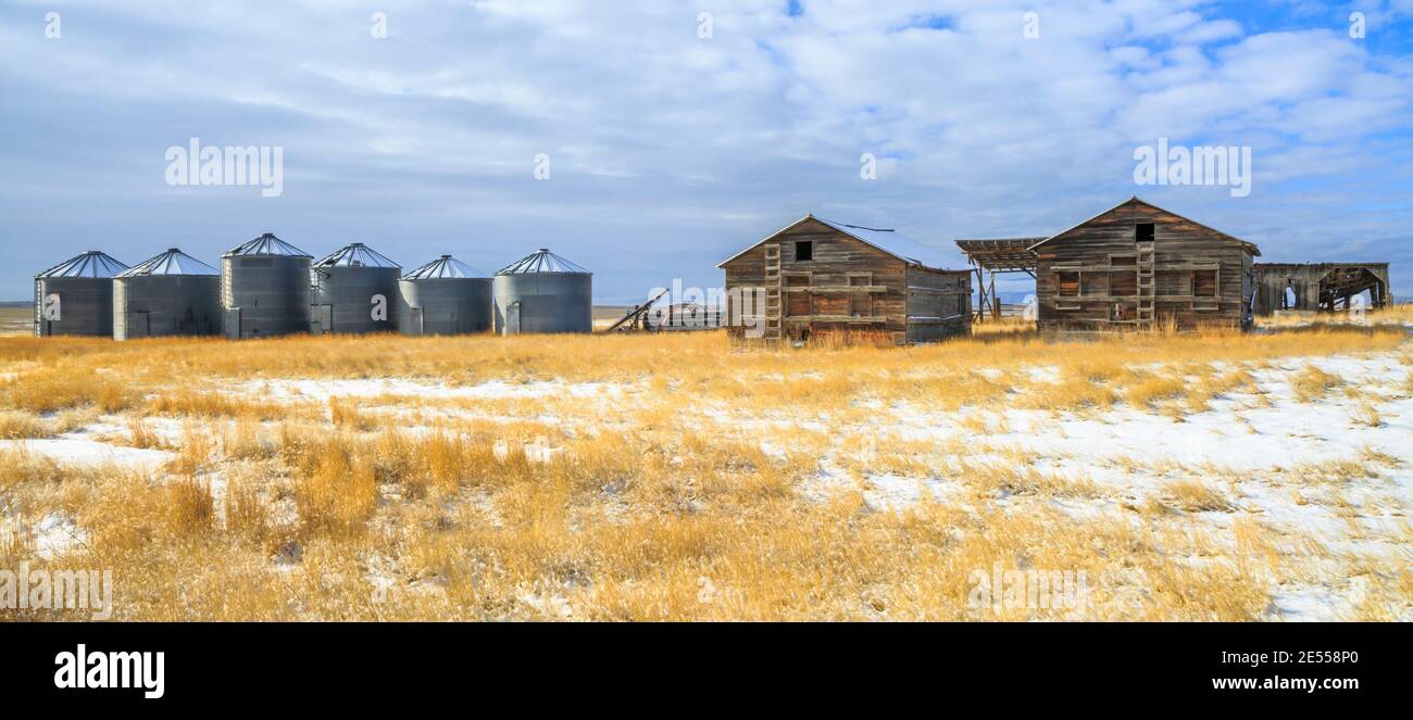 Panorama von alten Scheunen und Getreidekörnern in einem Feld im Winter in der Nähe von townsend, montana Stockfoto