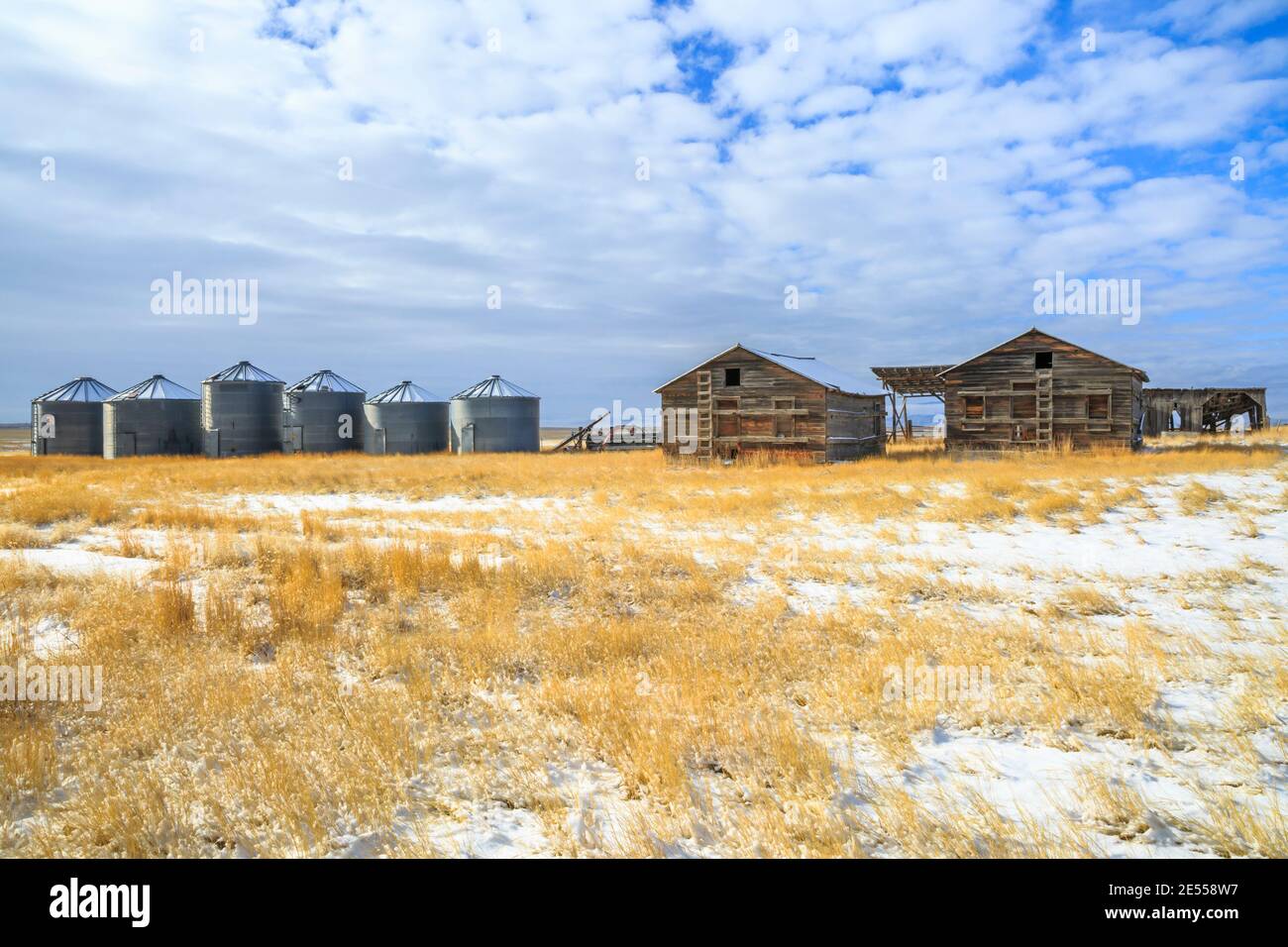 Alte Scheunen und Getreidebehälter auf einem Feld im Winter in der Nähe von townsend, montana Stockfoto