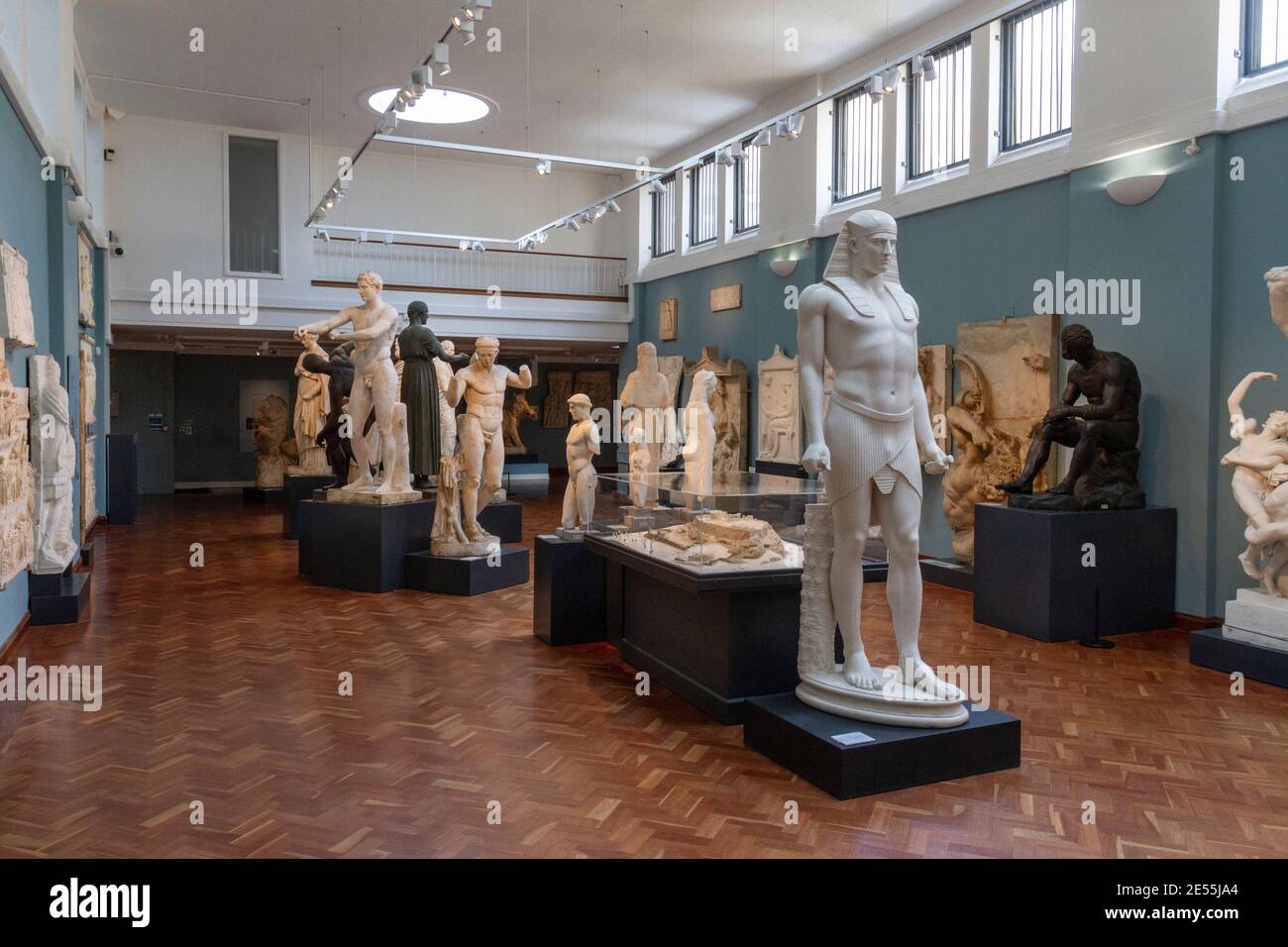 Allgemeine Ansicht der griechischen und römischen Statuen im Ashmolean Museum, das Museum für Kunst und Archäologie der Universität Oxford, Oxford UK. Stockfoto