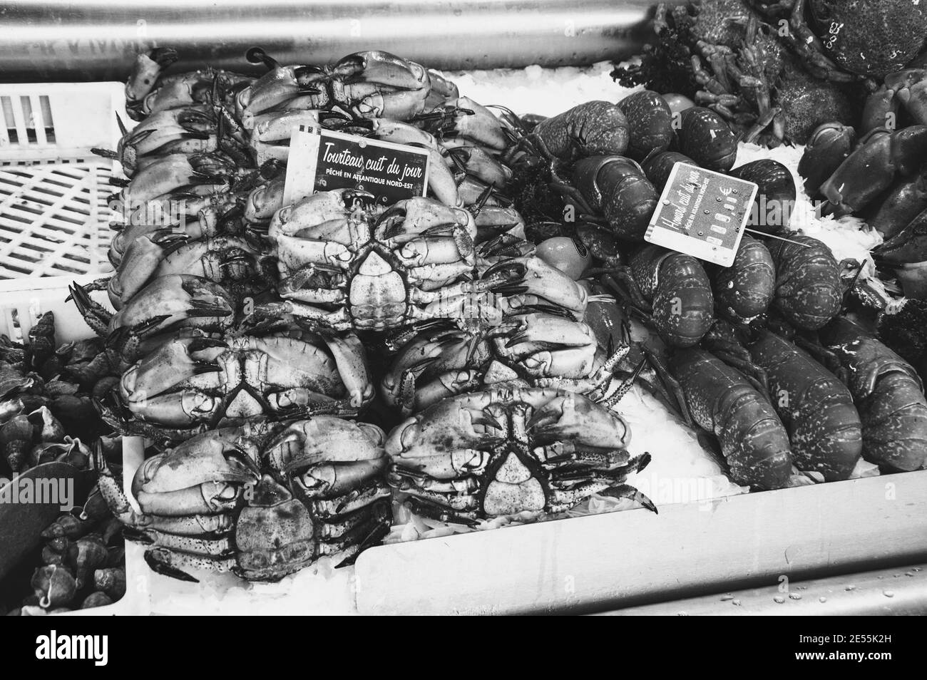 Gekochte Krabben und Hummer zum Verkauf auf dem Fischmarkt in Trouville-sur-Mer (Normandie, Frankreich). Schwarzweißfoto Stockfoto