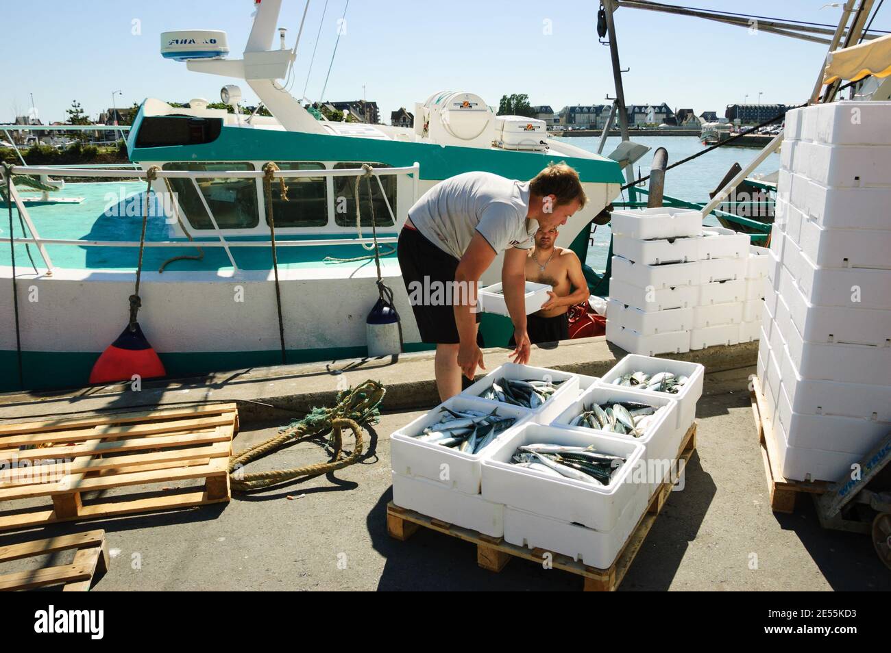 Frischer Fang wird ausgeladen und auf dem nahe gelegenen Street Fish Market am Pier am Hafen verkauft. Trouville-sur-Mer, Frankreich Stockfoto