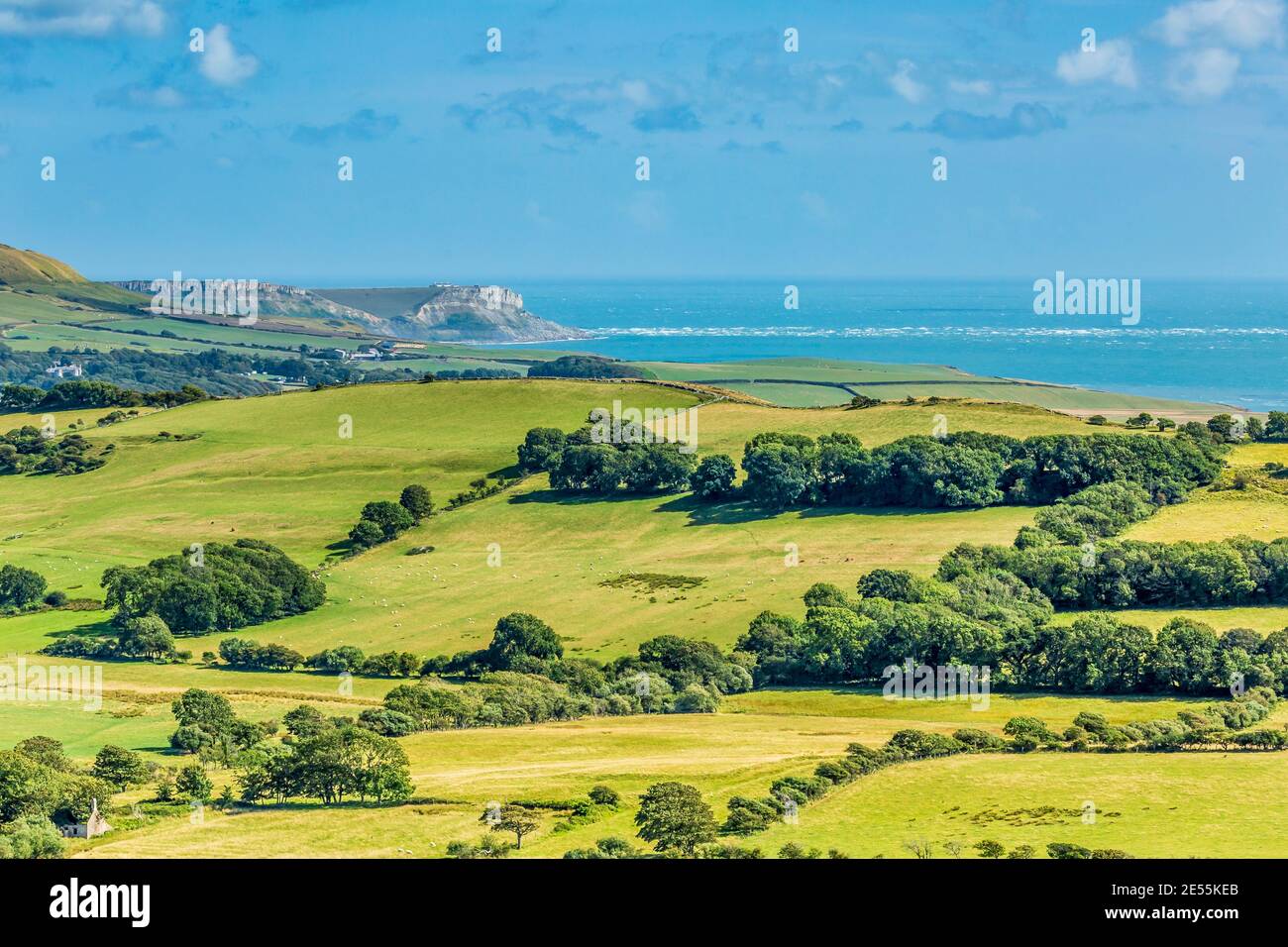 Blick über die Purbeck-Hügel Richtung Lulworth. Stockfoto