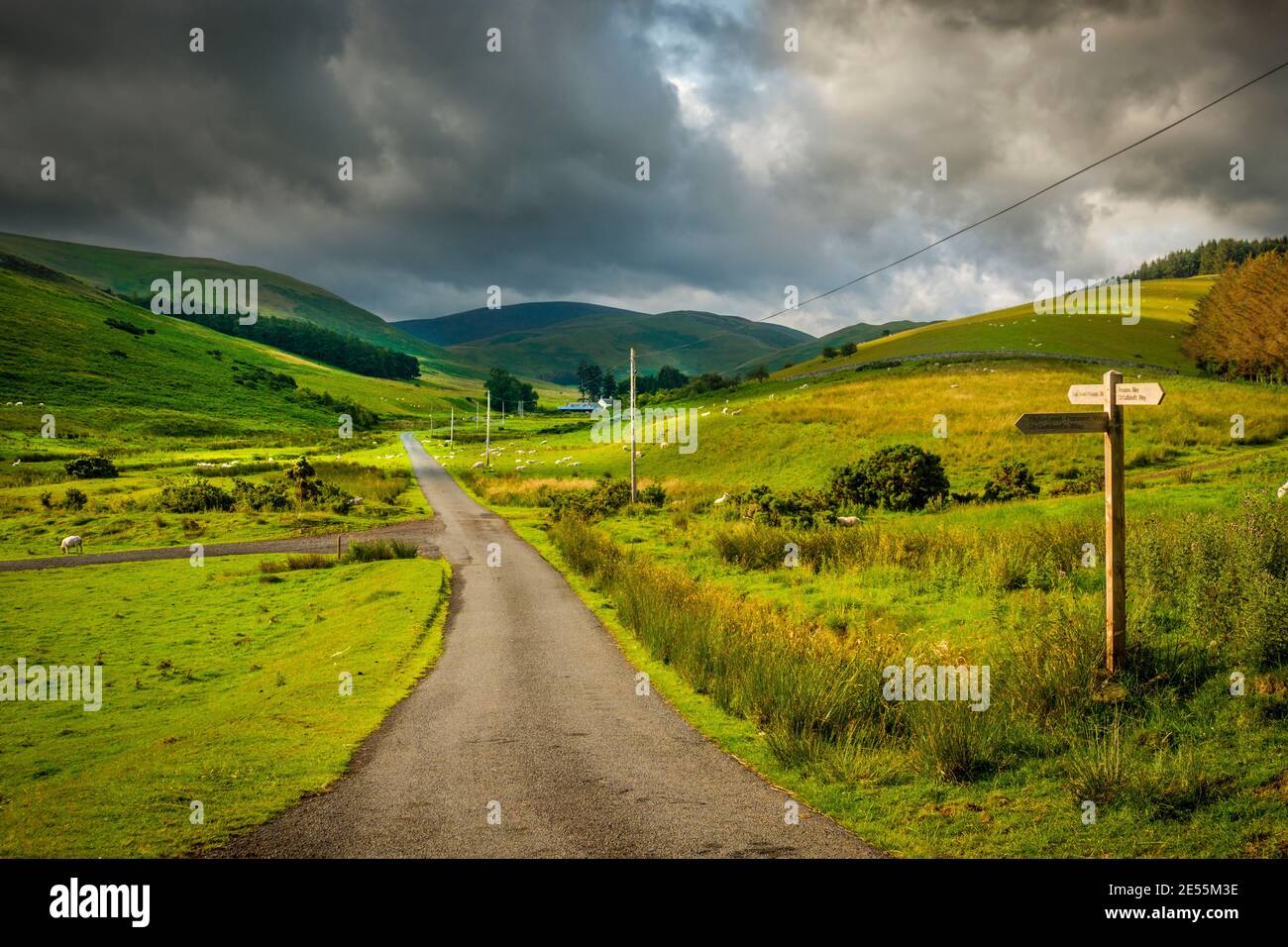 Sowohl der Pennine Way als auch der St Cuthberts Way verlaufen durch die Cheviot Hills. Stockfoto