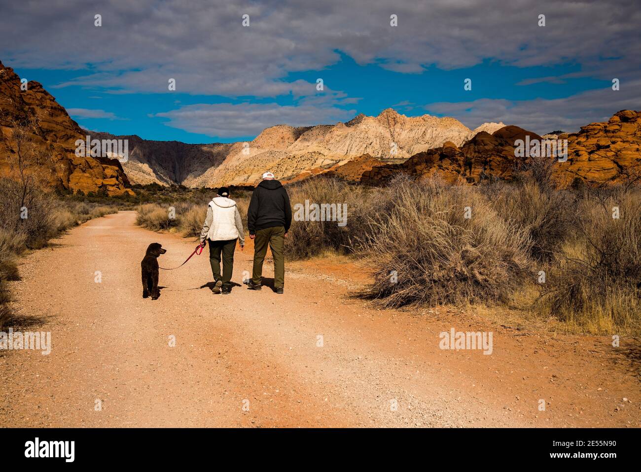 Ältere Paare, die ihren Hund in der Wüstenlandschaft spazieren, Snow Canyon State Park, Utah, USA ist ein sehr beliebter Ort, um die Wüstenlandschaft zu genießen, Stockfoto