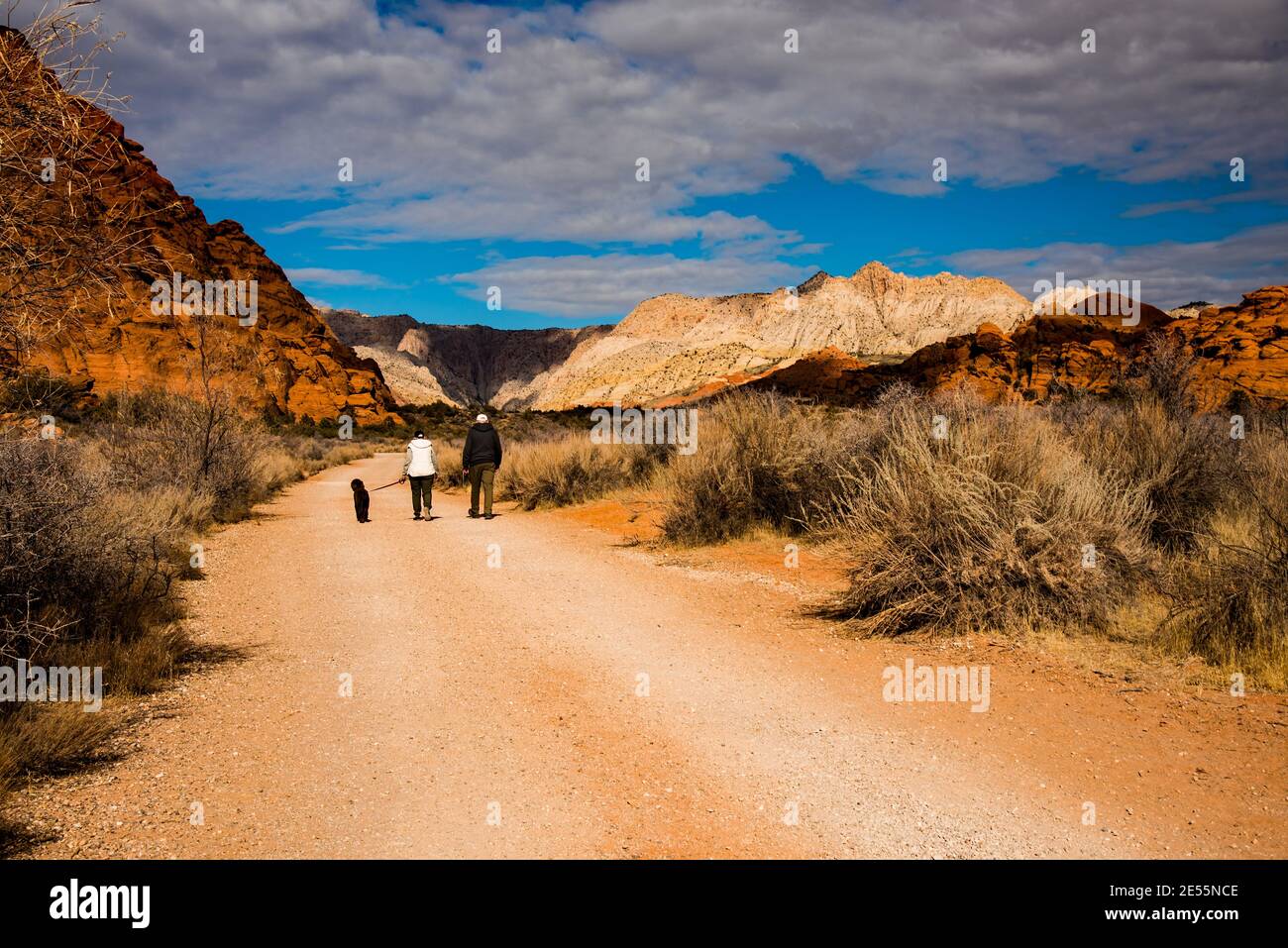 Ältere Paare, die ihren Hund in der Wüstenlandschaft spazieren, Snow Canyon State Park, Utah, USA ist ein sehr beliebter Ort, um die Wüstenlandschaft zu genießen, Stockfoto
