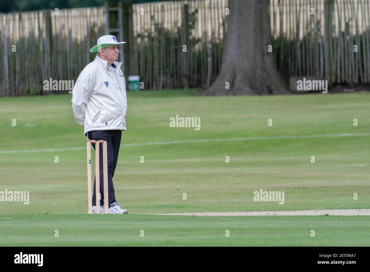 Der Schiedsrichter steht neben den Stumps und schaut bei einem Amateur-Cricket-Spiel in Perth, Schottland, ins Wicket. Stockfoto