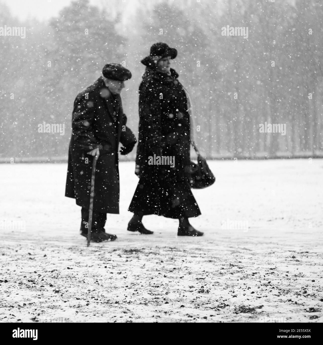 Oswiecim, Polen - 27. Januar 2008: 73. Jahrestag der Befreiung von Auschwitz-Birkenau. Der Überlebende besucht das Vernichtungslager Auschwitz. Stockfoto