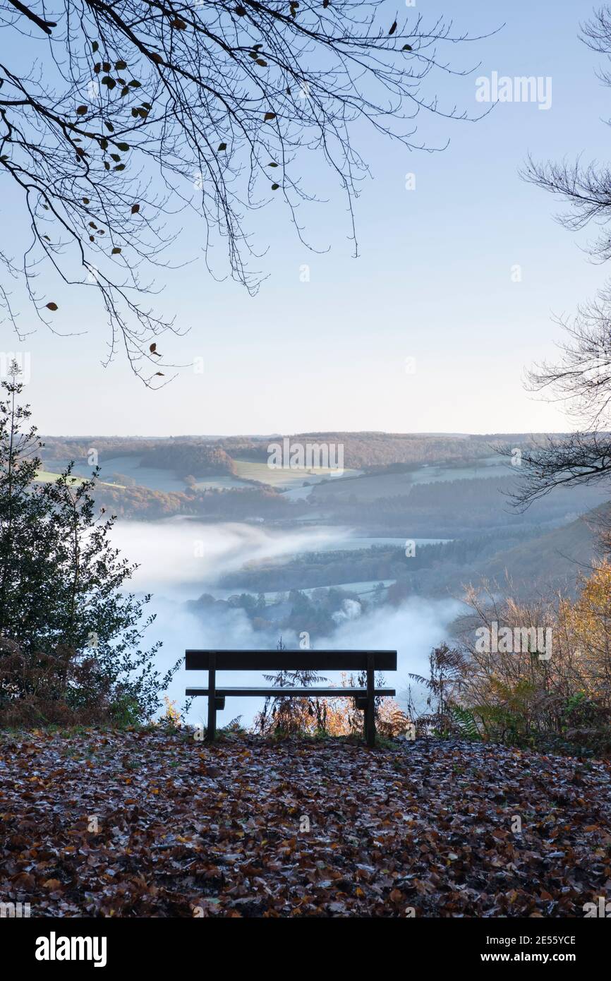 Holzbank mit Blick auf das Wye-Tal von Cuckoo Wood bei Tintern. Stockfoto
