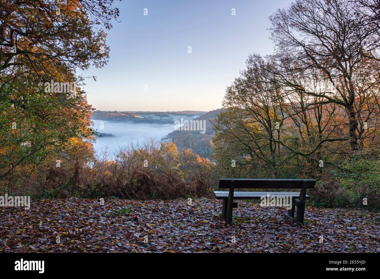 Holzbank mit Blick auf das Wye-Tal von Cuckoo Wood bei Tintern. Stockfoto