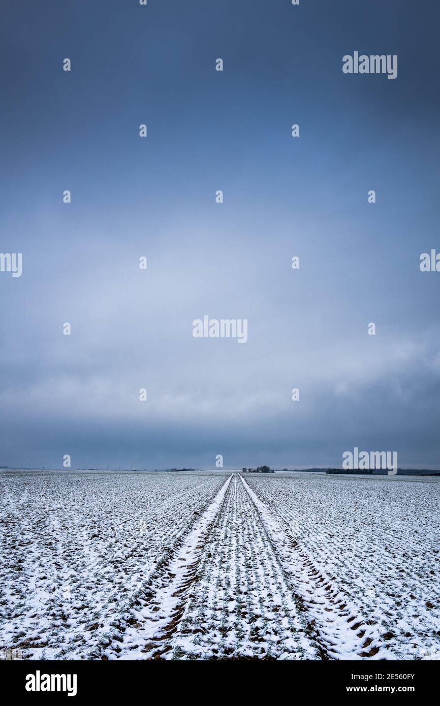 Dünne Schneeschicht auf einem Feld. Stockfoto