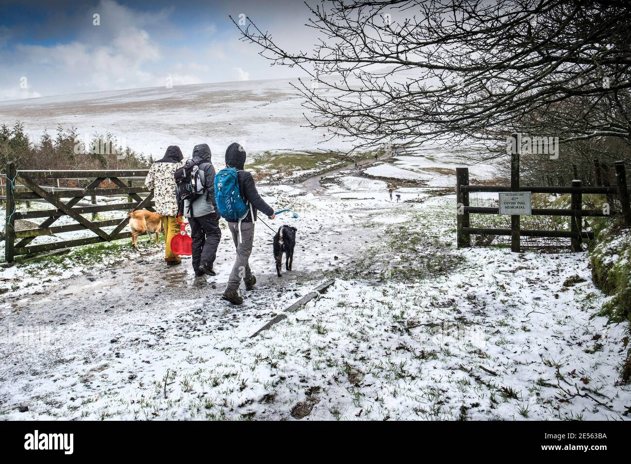 Eine Familie, die gerne mit ihren Hunden im Schnee auf dem wilden rauen Tor am Bodmin Moor in Cornwall spazierengeht. Stockfoto