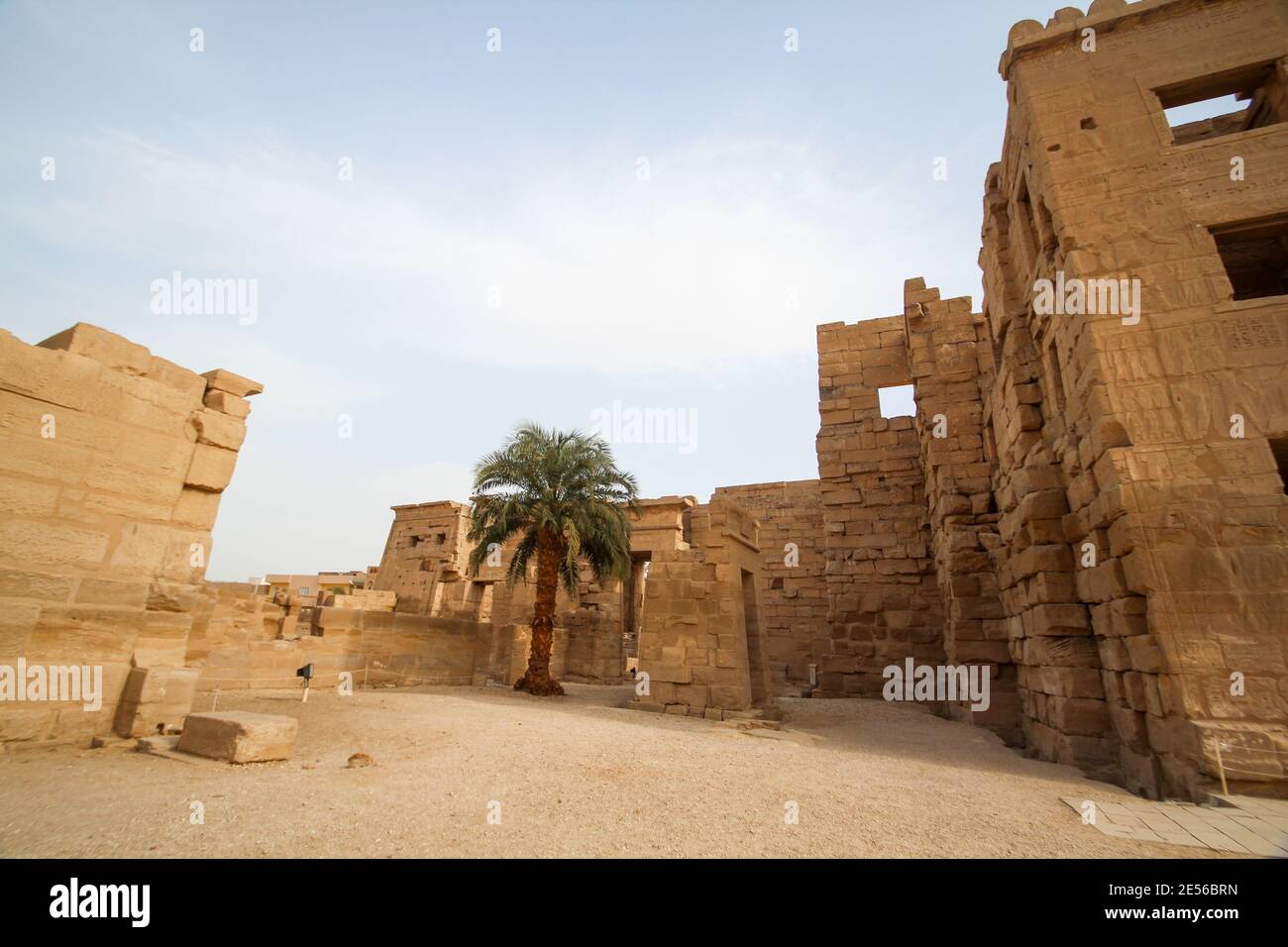 Eine Palme, die einsam im Gericht des Tempels von Ramses III, Theben steht Stockfoto