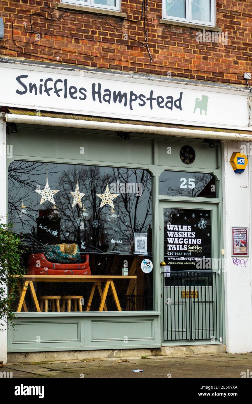 Sniffles, ein Spa-Salon für Hundepflege in Hampstead. Ein Familienbetrieb, der Hundespaziergängen, Hundepflege und Hundezubehör für die Londoner Gegend zur Verfügung stellt. Stockfoto