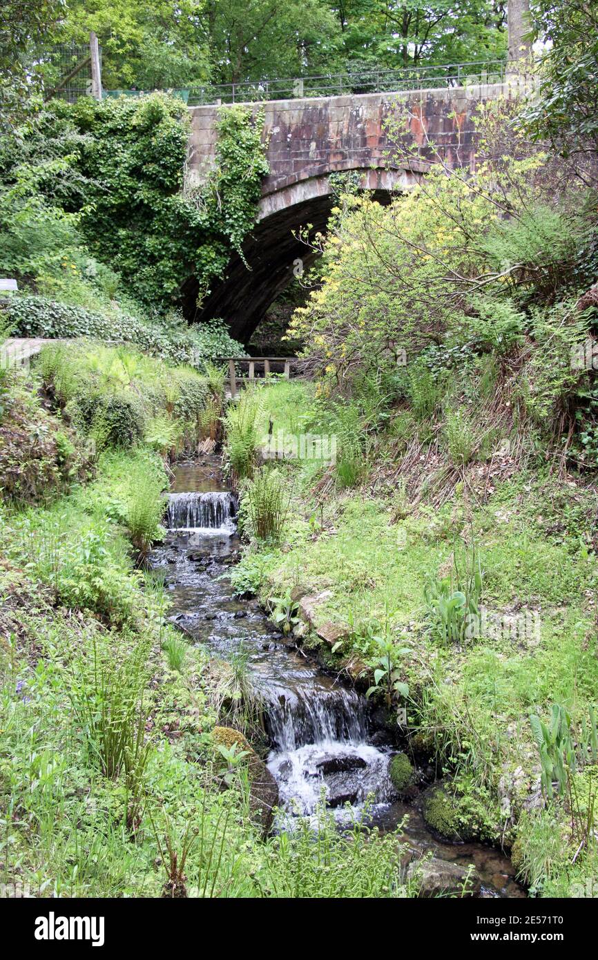 Lyme Park, in der Nähe von Disley, Stockport, Cheshire, Großbritannien Stockfoto