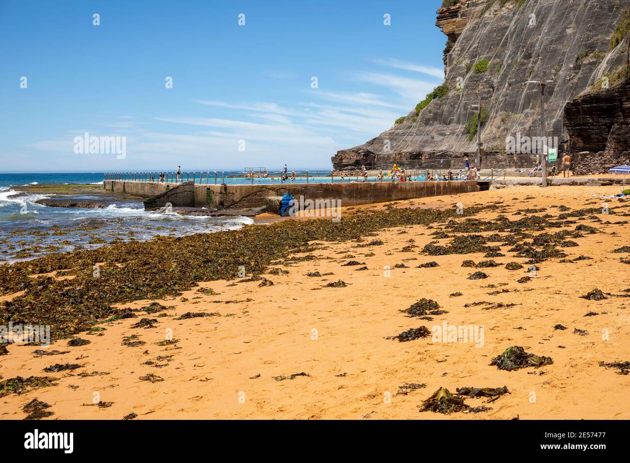 Algen, die sich am Bilgola Beach in Sydney ansammeln, und Gesteinsnetze, die an der Klippe installiert wurden, um zu verhindern, dass Felsen auf den Ozean fallen Stockfoto