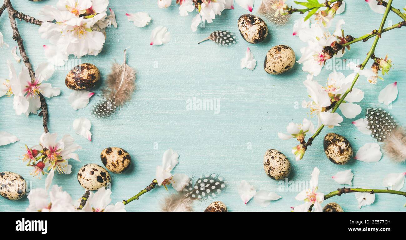 Osterferien Hintergrund. Flaches Lay aus zarten Frühlingsmandelblüten auf Ästen, Federn, Wachteleiern auf hellblauem Hintergrund, Kopierraum. Grußkartenkonzept Stockfoto