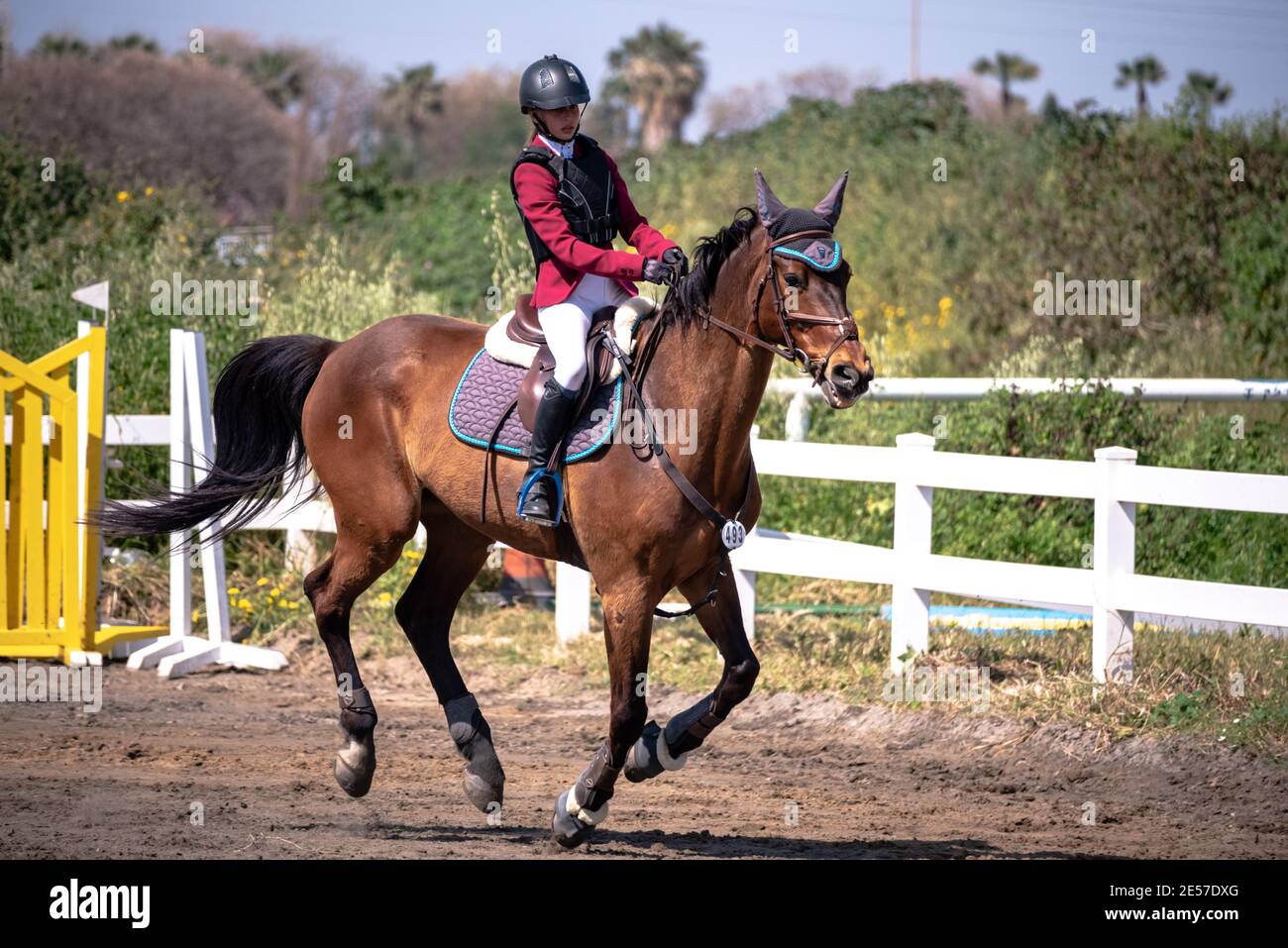 FEI Kinder springen Herausforderung Israel 2019 Stockfoto