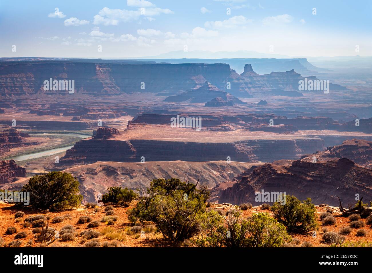 Der Dead Horse Point State Park blickt auf den Colorado River Stockfoto
