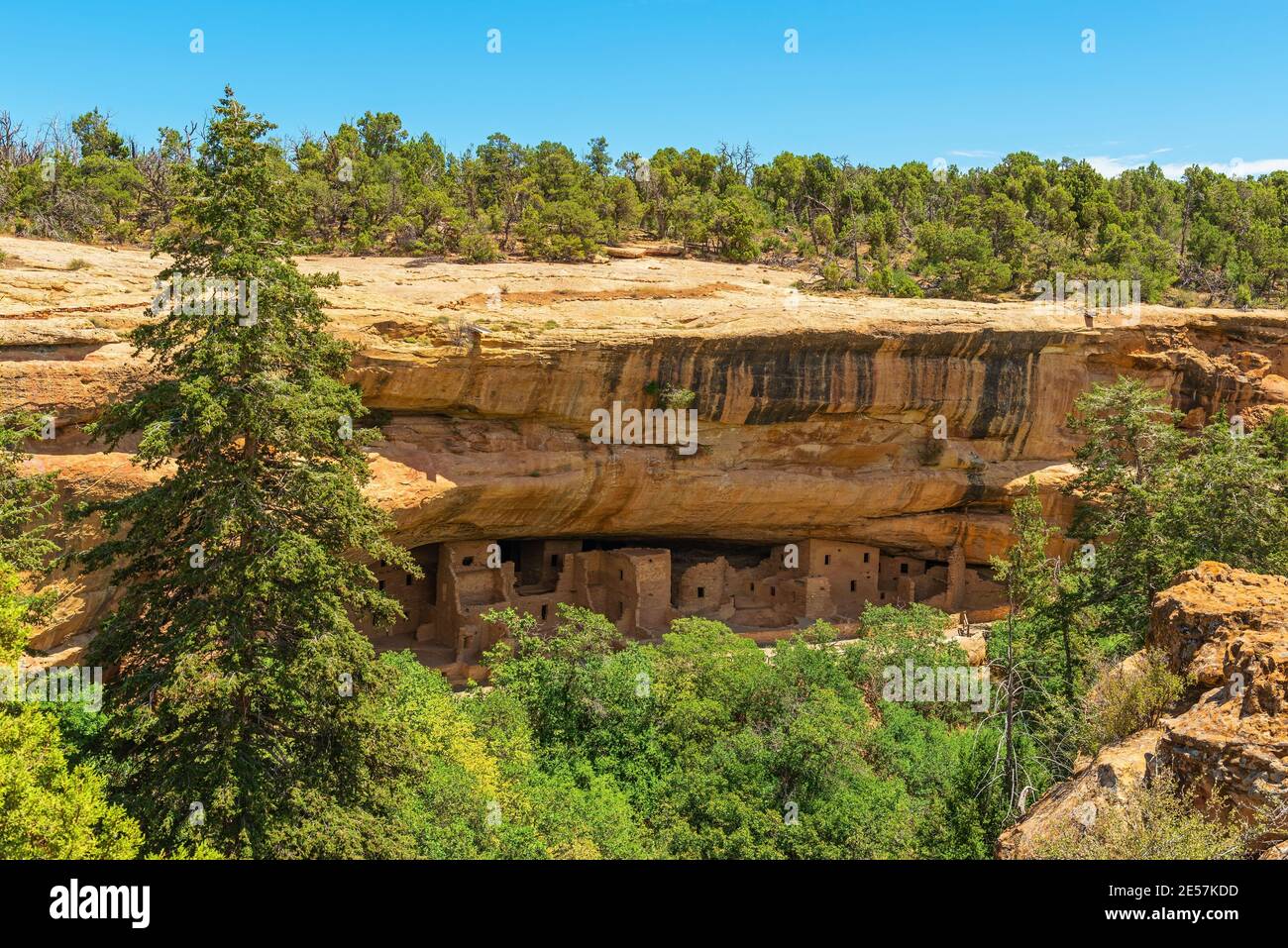 Fichte Tree House, Mesa Verde Nationalpark, Colorado, Vereinigte Staaten von Amerika (USA). Stockfoto