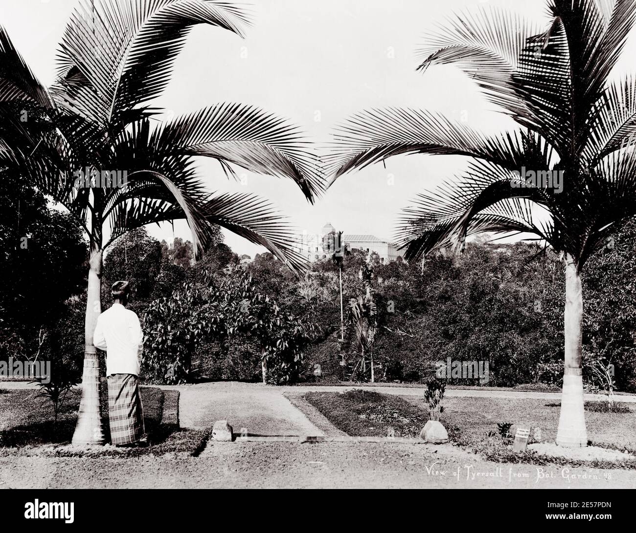 Vintage-Foto des 19. Jahrhunderts: Tyersall aus dem Botanischen Garten Singapur. Istana Tyersall ist ein abgerissenen historischen Palast, der sich früher auf dem ehemaligen Tyersall Park befindet, der an die Holland Road und die Tyersall Road gebunden ist. Stockfoto