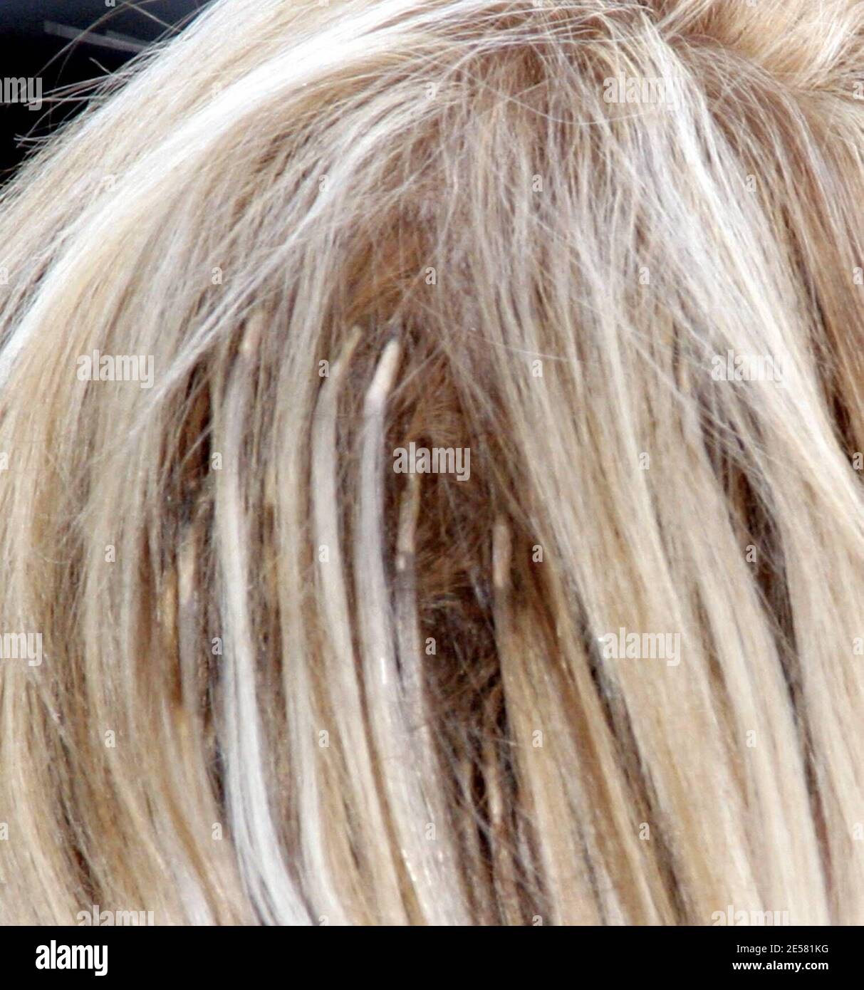 Reality Stars Stockfotos Und Bilder Kaufen Alamy